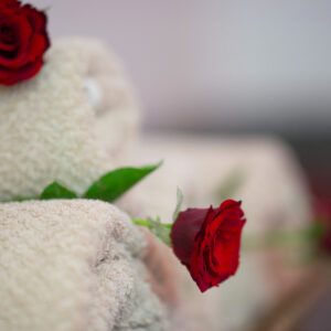 Rose & Harmony Ritual